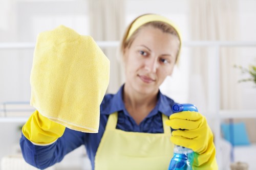 Domestic cleaner working in a Kingston upon Thames family home
