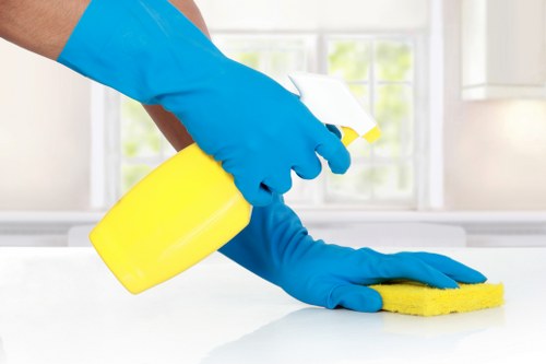 Steam carpet cleaning in a Kingston upon Thames living room