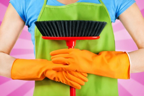 Kitchen and bathroom domestic cleaning service in Kingston upon Thames
