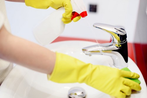 Professional gutter cleaning service for a Kingston upon Thames home