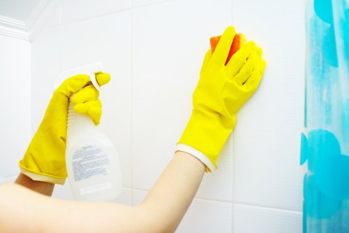 Professional domestic cleaning for a Kingston upon Thames house
