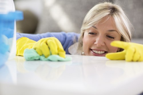 Regular cleaning service for a Kingstonuponthames home exterior