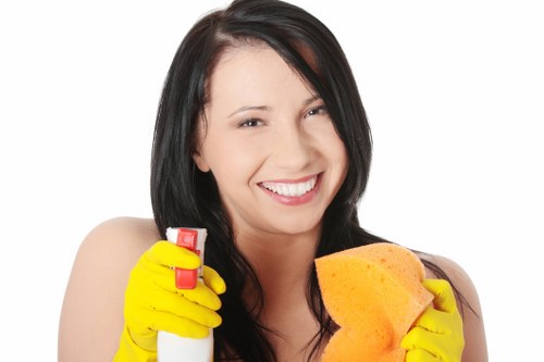 Deep cleaning of bathroom fixtures during a move in clean in Kingston upon Thames