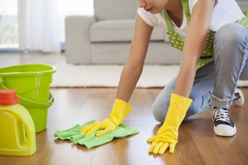 Professional cleaning for Kingstonuponthames business premises